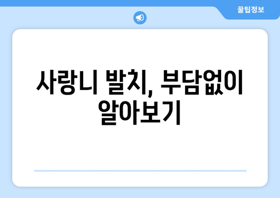전라북도 진안군 동향면 사랑니 발치 치과 가격 비용 잘하는 곳 추천 BEST 10 비교 가이드