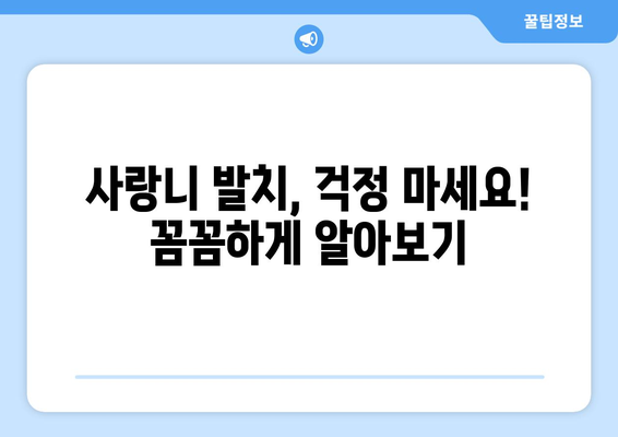 서울시 종로구 가회동 사랑니 발치 치과 가격 비용 잘하는 곳 추천 BEST 10 비교 가이드