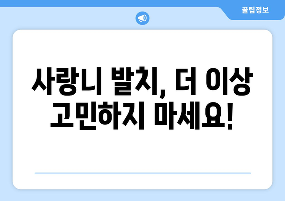 경기도 부천시 중3동 사랑니 발치 치과 가격 비용 잘하는 곳 추천 BEST 10 비교 가이드