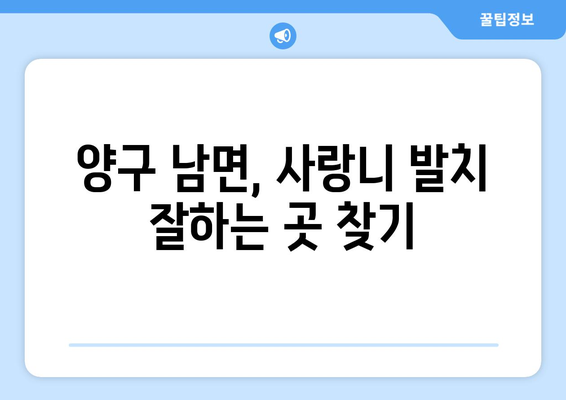 강원도 양구군 남면 사랑니 발치 치과 가격 비용 잘하는 곳 추천 BEST 10 비교 가이드