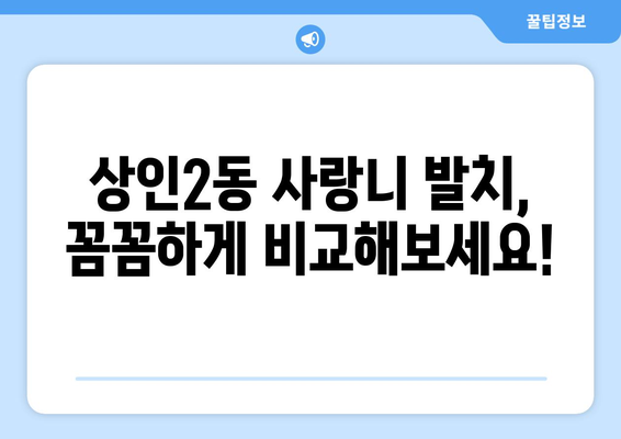 대구시 달서구 상인2동 사랑니 발치 치과 가격 비용 잘하는 곳 추천 BEST 10 비교 가이드