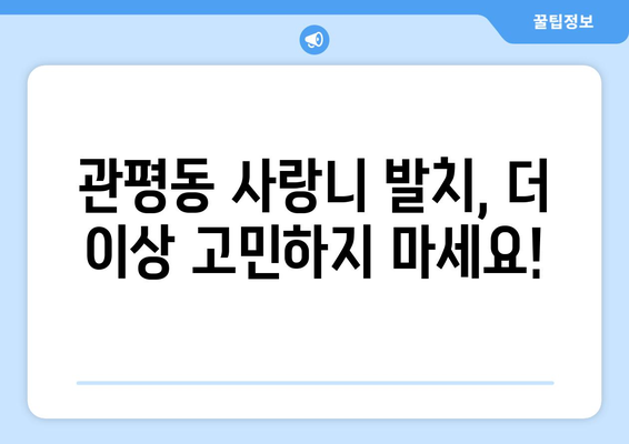 대전시 유성구 관평동 사랑니 발치 치과 가격 비용 잘하는 곳 추천 BEST 10 비교 가이드