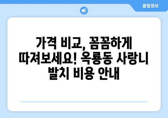 충청남도 공주시 옥룡동 사랑니 발치 치과 가격 비용 잘하는 곳 추천 BEST 10 비교 가이드