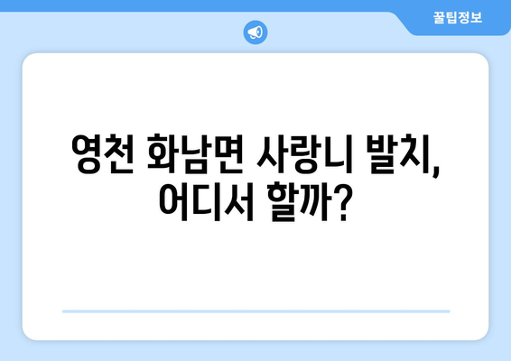경상북도 영천시 화남면 사랑니 발치 치과 가격 비용 잘하는 곳 추천 BEST 10 비교 가이드