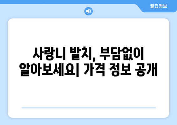 경상북도 예천군 용문면 사랑니 발치 치과 가격 비용 잘하는 곳 추천 BEST 10 비교 가이드