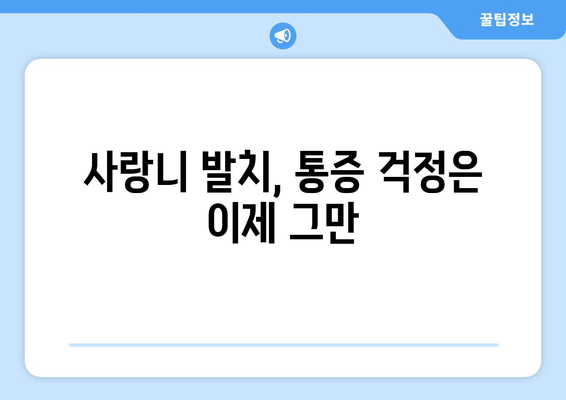 충청북도 보은군 내북면 사랑니 발치 치과 가격 비용 잘하는 곳 추천 BEST 10 비교 가이드