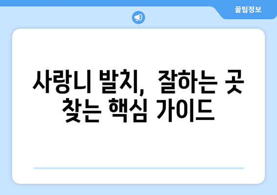 강원도 횡성군 공근면 사랑니 발치 치과 가격 비용 잘하는 곳 추천 BEST 10 비교 가이드