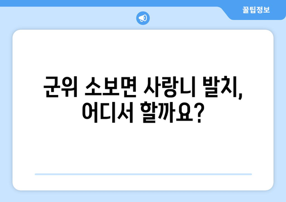대구시 군위군 소보면 사랑니 발치 치과 가격 비용 잘하는 곳 추천 BEST 10 비교 가이드
