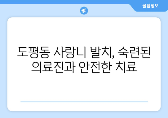 대구시 동구 도평동 사랑니 발치 치과 가격 비용 잘하는 곳 추천 BEST 10 비교 가이드