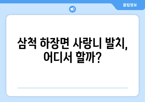 강원도 삼척시 하장면 사랑니 발치 치과 가격 비용 잘하는 곳 추천 BEST 10 비교 가이드
