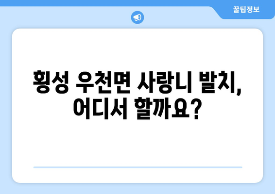 강원도 횡성군 우천면 사랑니 발치 치과 가격 비용 잘하는 곳 추천 BEST 10 비교 가이드