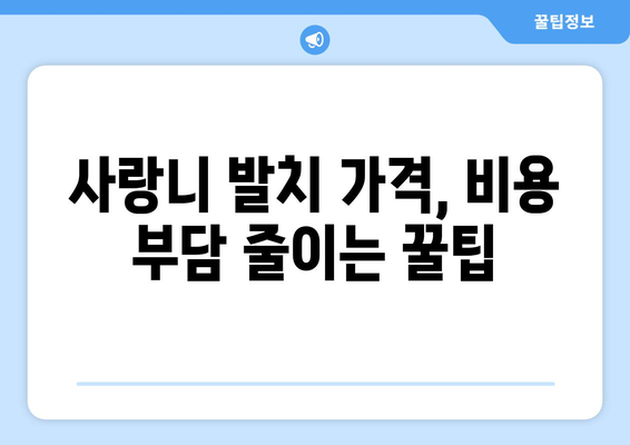 충청남도 아산시 온양6동 사랑니 발치 치과 가격 비용 잘하는 곳 추천 BEST 10 비교 가이드