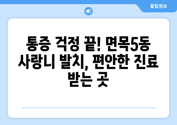 서울시 중랑구 면목5동 사랑니 발치 치과 가격 비용 잘하는 곳 추천 BEST 10 비교 가이드