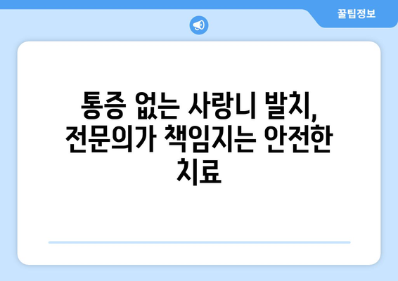 광주시 동구 계림1동 사랑니 발치 치과 가격 비용 잘하는 곳 추천 BEST 10 비교 가이드
