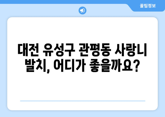 대전시 유성구 관평동 사랑니 발치 치과 가격 비용 잘하는 곳 추천 BEST 10 비교 가이드