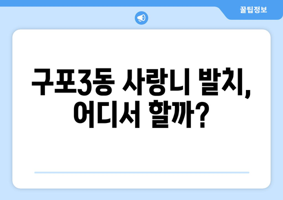 부산시 북구 구포3동 사랑니 발치 치과 가격 비용 잘하는 곳 추천 BEST 10 비교 가이드