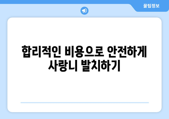 부산시 해운대구 반여2동 사랑니 발치 치과 가격 비용 잘하는 곳 추천 BEST 10 비교 가이드