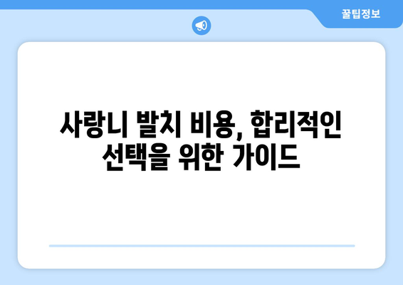 전라북도 남원시 이백면 사랑니 발치 치과 가격 비용 잘하는 곳 추천 BEST 10 비교 가이드