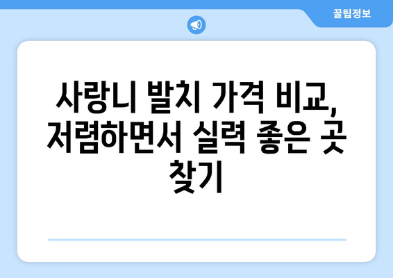 경기도 이천시 모가면 사랑니 발치 치과 가격 비용 잘하는 곳 추천 BEST 10 비교 가이드