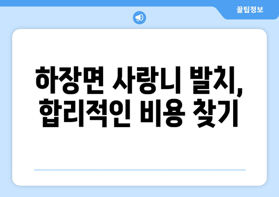 강원도 삼척시 하장면 사랑니 발치 치과 가격 비용 잘하는 곳 추천 BEST 10 비교 가이드