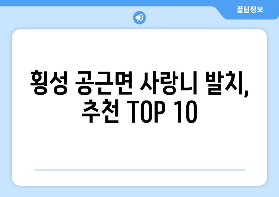 강원도 횡성군 공근면 사랑니 발치 치과 가격 비용 잘하는 곳 추천 BEST 10 비교 가이드