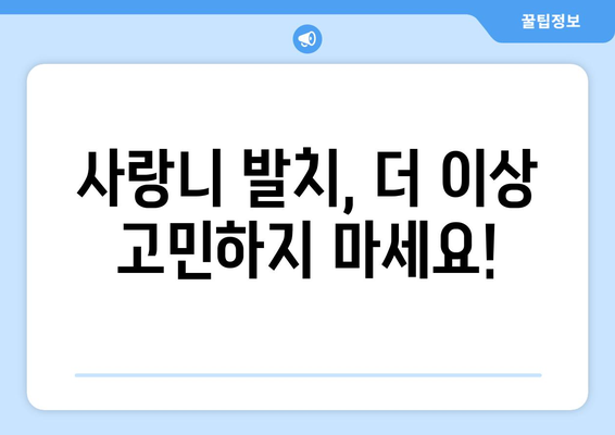 서울시 동작구 노량진제2동 사랑니 발치 치과 가격 비용 잘하는 곳 추천 BEST 10 비교 가이드