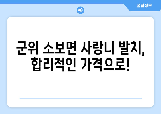 대구시 군위군 소보면 사랑니 발치 치과 가격 비용 잘하는 곳 추천 BEST 10 비교 가이드