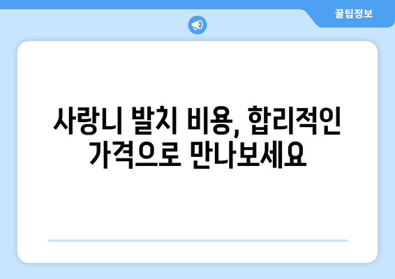 부산시 연제구 연산3동 사랑니 발치 치과 가격 비용 잘하는 곳 추천 BEST 10 비교 가이드