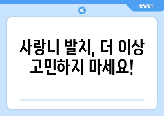 부산시 사상구 학장동 사랑니 발치 치과 가격 비용 잘하는 곳 추천 BEST 10 비교 가이드