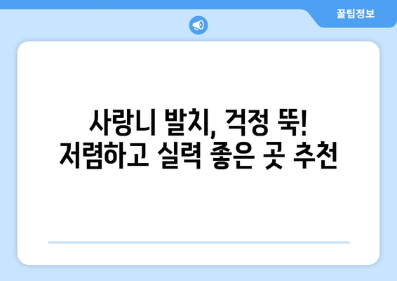 경상북도 문경시 점촌3동 사랑니 발치 치과 가격 비용 잘하는 곳 추천 BEST 10 비교 가이드