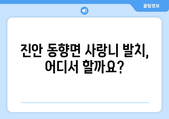 전라북도 진안군 동향면 사랑니 발치 치과 가격 비용 잘하는 곳 추천 BEST 10 비교 가이드