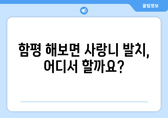 전라남도 함평군 해보면 사랑니 발치 치과 가격 비용 잘하는 곳 추천 BEST 10 비교 가이드