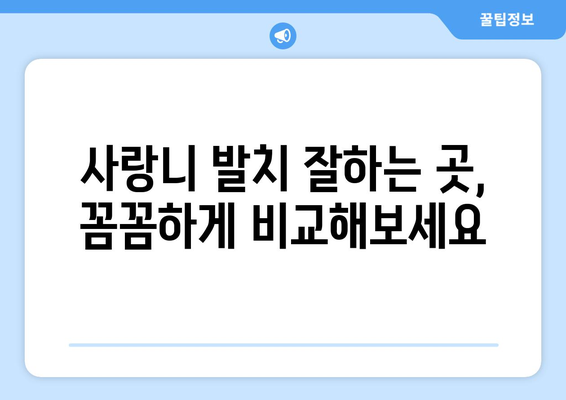 전라북도 진안군 부귀면 사랑니 발치 치과 가격 비용 잘하는 곳 추천 BEST 10 비교 가이드