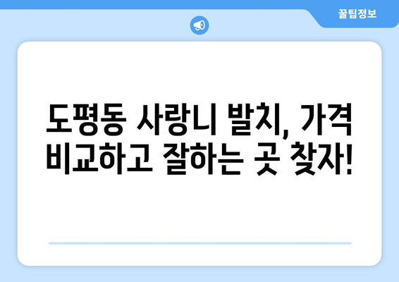 대구시 동구 도평동 사랑니 발치 치과 가격 비용 잘하는 곳 추천 BEST 10 비교 가이드