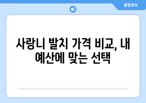 충청북도 보은군 내북면 사랑니 발치 치과 가격 비용 잘하는 곳 추천 BEST 10 비교 가이드