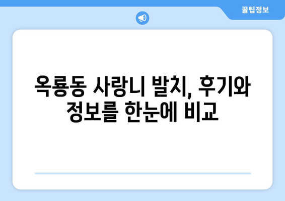 충청남도 공주시 옥룡동 사랑니 발치 치과 가격 비용 잘하는 곳 추천 BEST 10 비교 가이드
