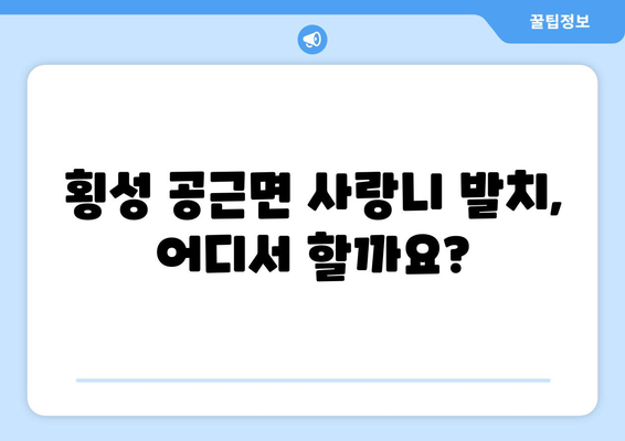 강원도 횡성군 공근면 사랑니 발치 치과 가격 비용 잘하는 곳 추천 BEST 10 비교 가이드