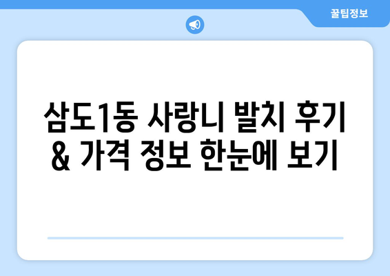 제주도 제주시 삼도1동 사랑니 발치 치과 가격 비용 잘하는 곳 추천 BEST 10 비교 가이드