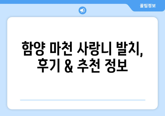 경상남도 함양군 마천면 사랑니 발치 치과 가격 비용 잘하는 곳 추천 BEST 10 비교 가이드