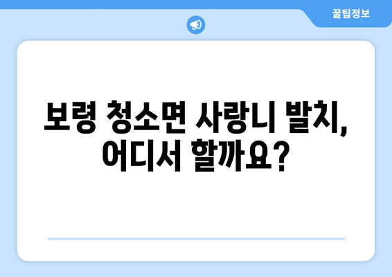 충청남도 보령시 청소면 사랑니 발치 치과 가격 비용 잘하는 곳 추천 BEST 10 비교 가이드