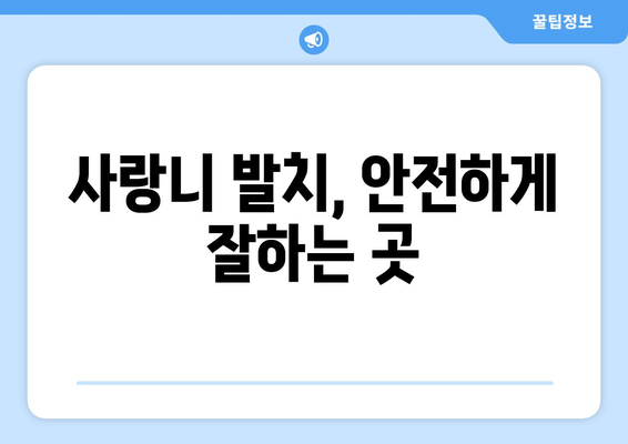 대구시 달성군 구지면 사랑니 발치 치과 가격 비용 잘하는 곳 추천 BEST 10 비교 가이드