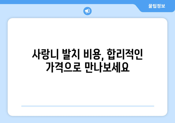 광주시 동구 계림1동 사랑니 발치 치과 가격 비용 잘하는 곳 추천 BEST 10 비교 가이드