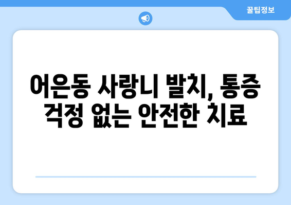 대전시 유성구 어은동 사랑니 발치 치과 가격 비용 잘하는 곳 추천 BEST 10 비교 가이드