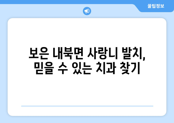 충청북도 보은군 내북면 사랑니 발치 치과 가격 비용 잘하는 곳 추천 BEST 10 비교 가이드