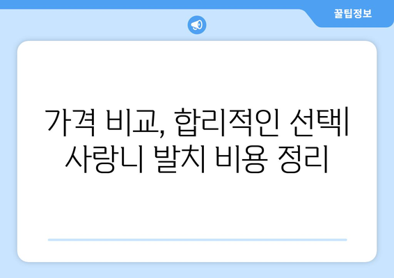 경상북도 경산시 동부동 사랑니 발치 치과 가격 비용 잘하는 곳 추천 BEST 10 비교 가이드