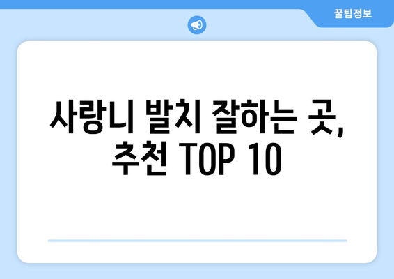 강원도 속초시 교동 사랑니 발치 치과 가격 비용 잘하는 곳 추천 BEST 10 비교 가이드