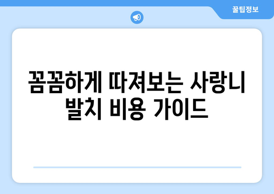 경상남도 거창군 신원면 사랑니 발치 치과 가격 비용 잘하는 곳 추천 BEST 10 비교 가이드