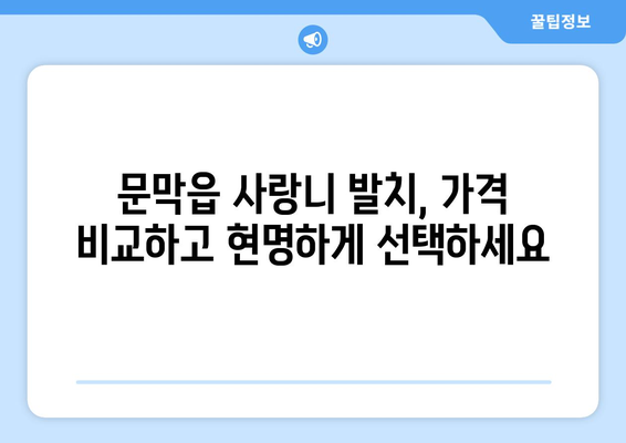 강원도 원주시 문막읍 사랑니 발치 치과 가격 비용 잘하는 곳 추천 BEST 10 비교 가이드