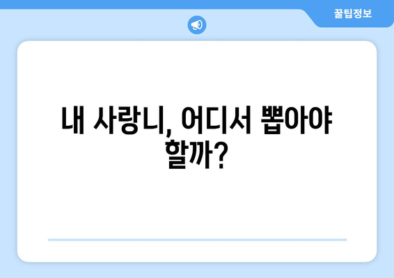 서울시 동작구 노량진제2동 사랑니 발치 치과 가격 비용 잘하는 곳 추천 BEST 10 비교 가이드