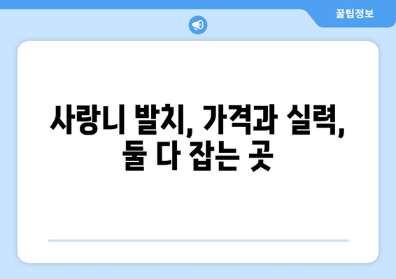 강원도 삼척시 하장면 사랑니 발치 치과 가격 비용 잘하는 곳 추천 BEST 10 비교 가이드